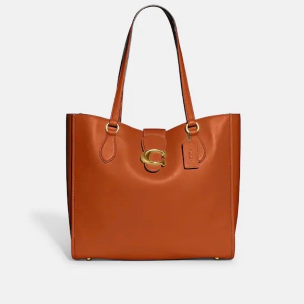 NWT Coach Theo Canyon Tote
